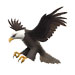 Eagle emoji